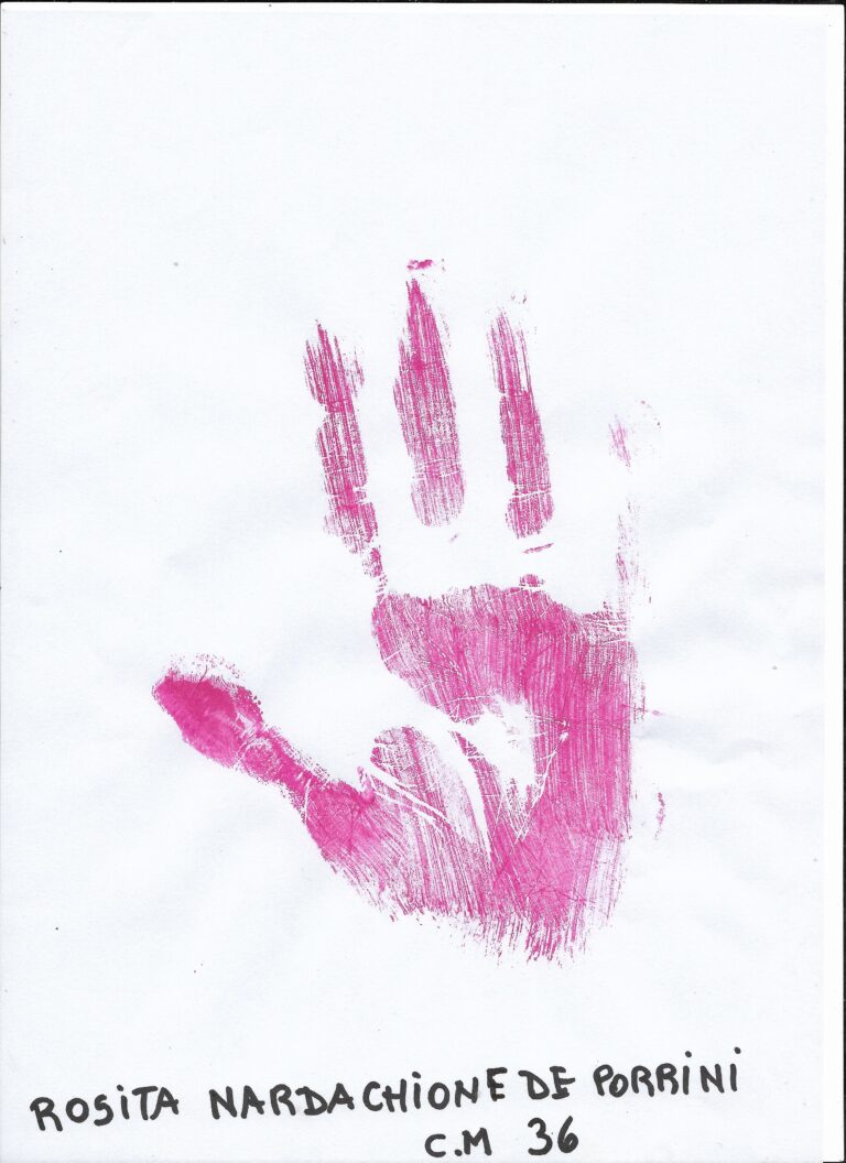 Rosa Nardachione CM36